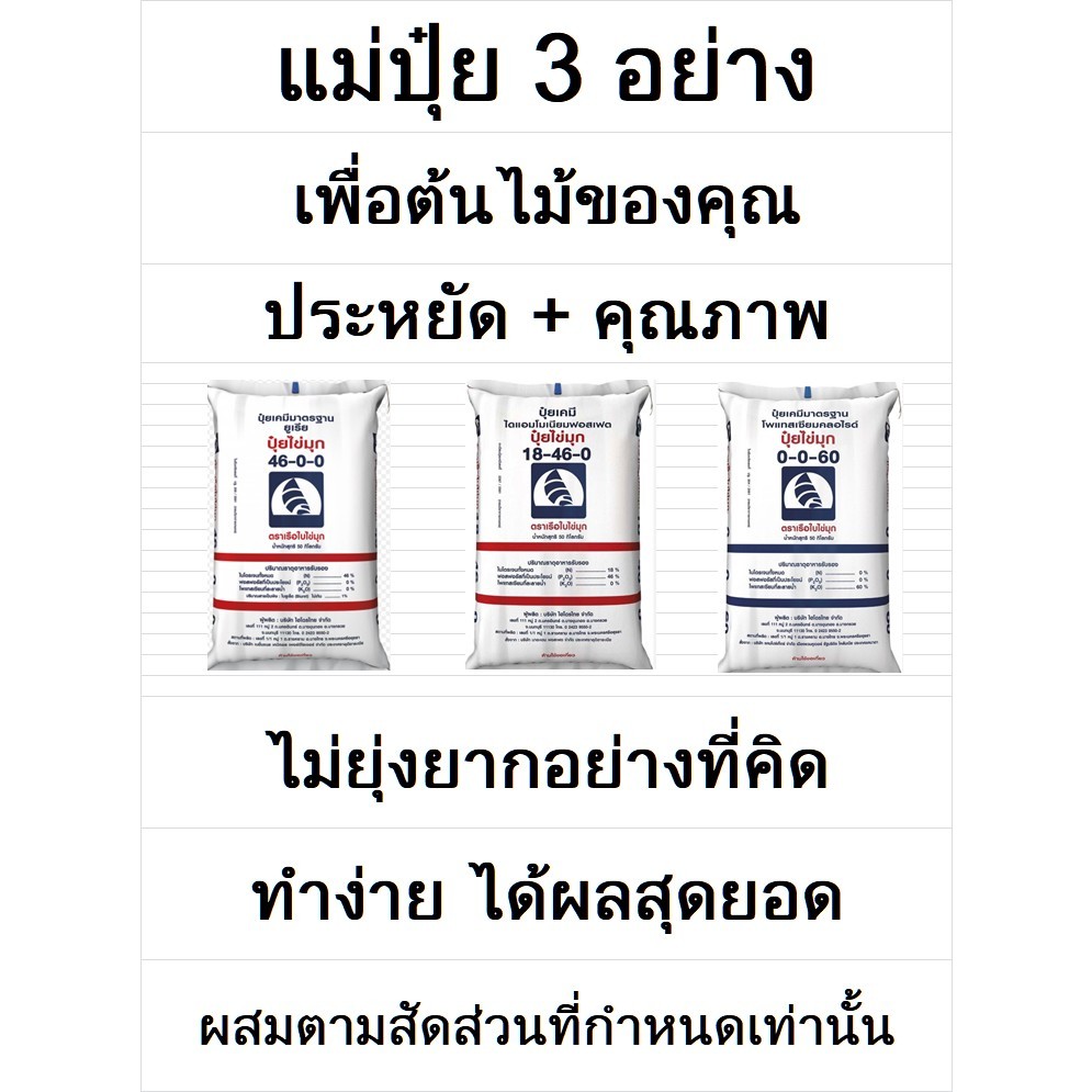 ส่งไว ส่งถูก ปุ๋ยเคมี แม่ปุ๋ย 3 อย่าง 46 0 0 / 18 46 0 / 0 0 60 แบ่งจำหน่าย ชุดละ 3 อย่างราคาพิเศษ ผ