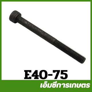 E40-75 น็อตยึดคาร์บู  411 เครื่องตัดหญ้า