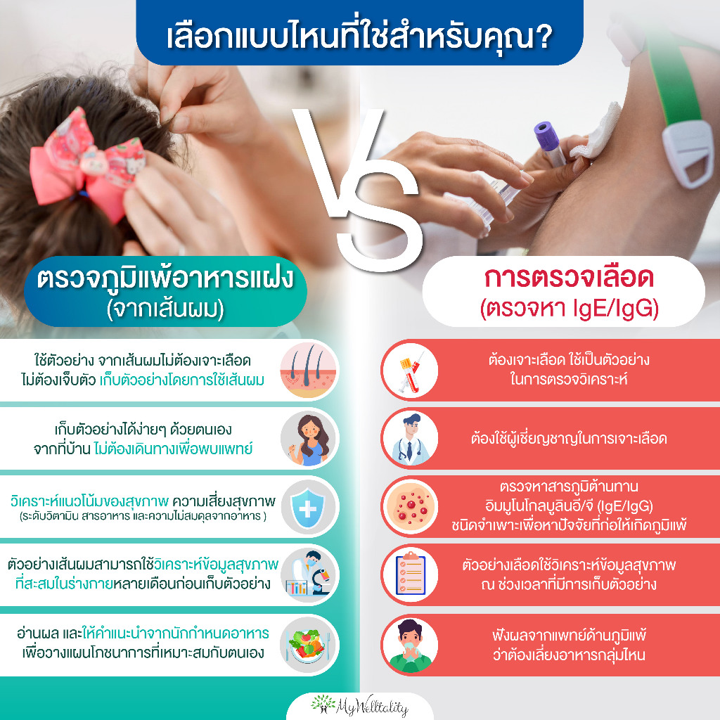 รูปภาพ 2