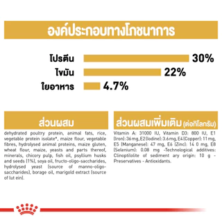 Royal Canin Adult Persian 2KG,4kg และ 10kg อาหารแมวรอยัล คานิน สูตรแมวโต สายพันธุ์เปอร์เซีย