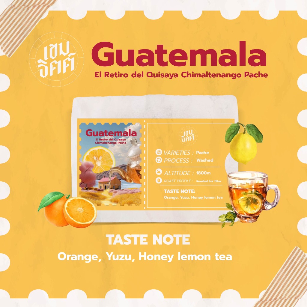 เมล็ดกาแฟคั่วอ่อน Guatemala El Retiro del Quisaya Chimaltenango สายพันธ์Pache ขนาด100กรัม ส่งด่วนส่งทุกวัน