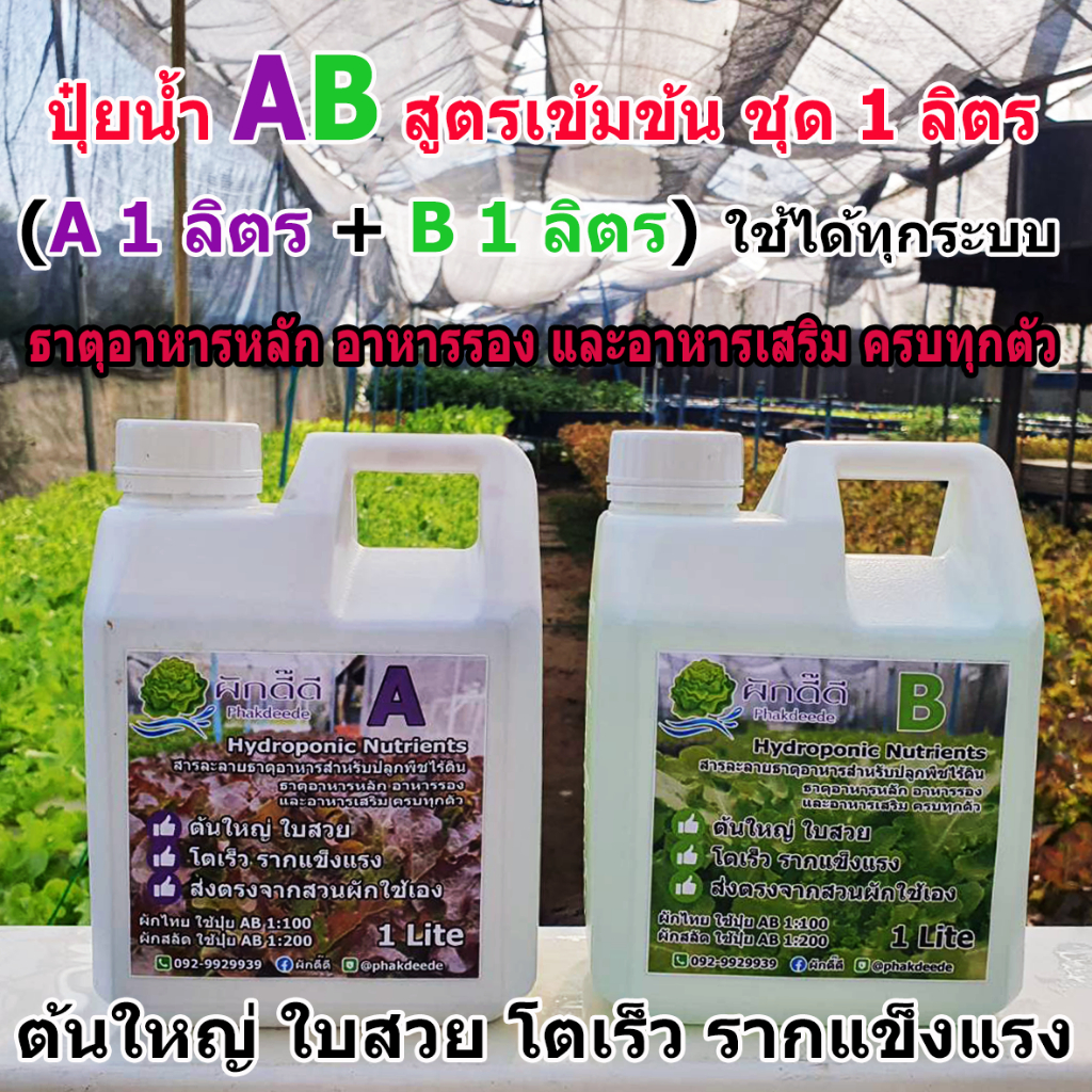 ปุ๋ย AB ปุ๋ยน้ำขนาด1ลิตร A+B ปลูกผักสลัด ปลูกผักไฮโดรโปนิกส์ คุณภาพดี ส่งจากสวนผักใช้เอง คุ้มค่า คุ้