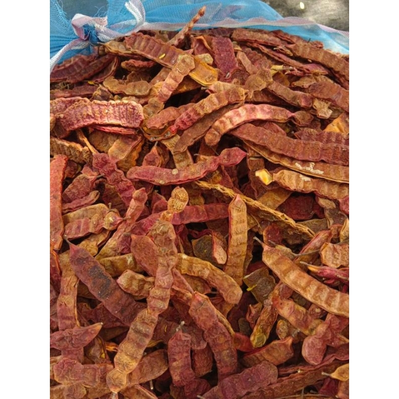 ผลส้มป่อย/ขายเป็นชุด1ชุดมี30ฝัก100บาท