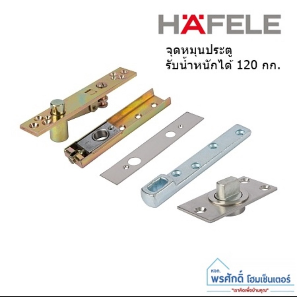 HAFELE 499.30.198 จุดหมุนประตู แบบฝังพื้น รับน้ำหนักได้ 120 กก. Pivot Bearing