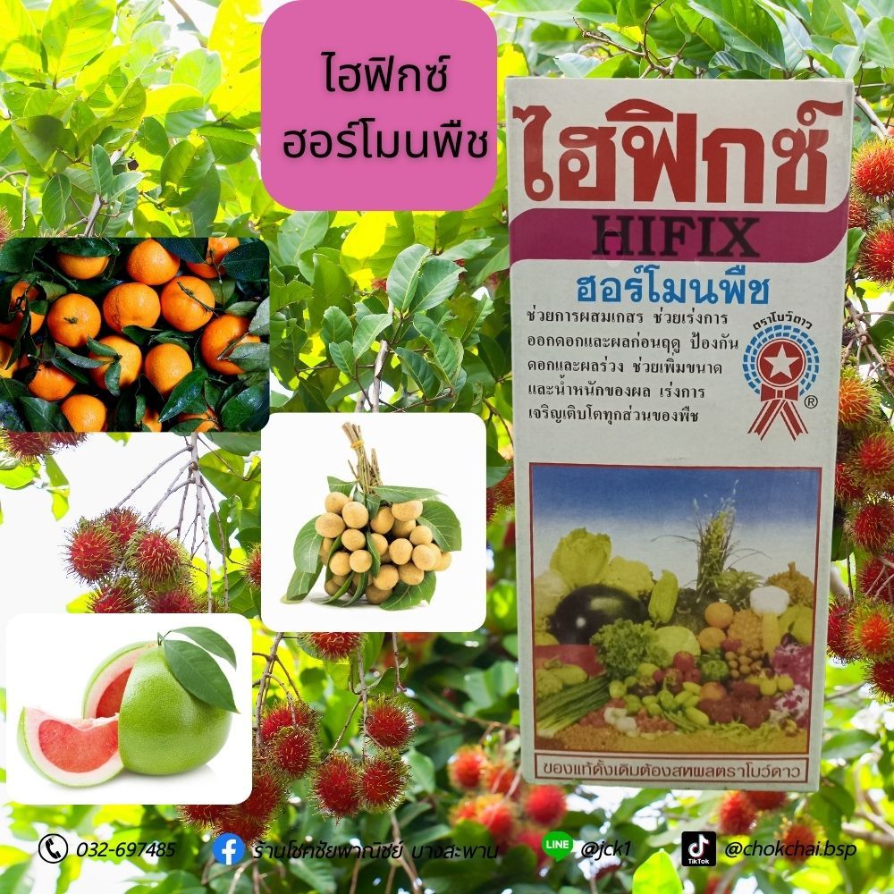 ไฮฟิกซ์​ ช่วยในการติดดอก​ ออกผล ผสมเกสร ขนาด 500 ซีซี​ (ชื่อใหม่ "โฮฟิกซ์")