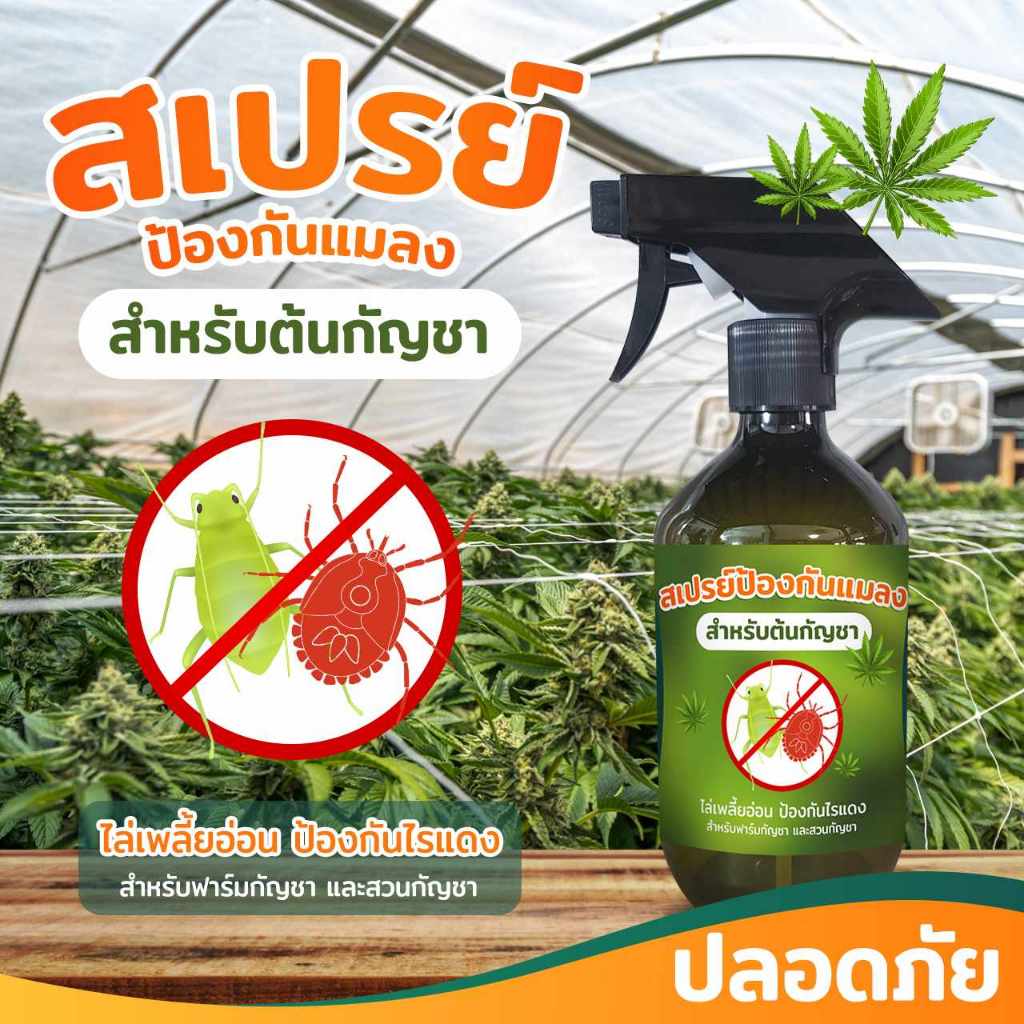 สมุนไพรไล่เพลี้ย ต้นกัญชา ไล่ไรแดง ไล่แมลงหวี่ขาวสำหรับฟาร์มกัญชา 500ml ออแกนิคใช้ฉีดพ่นป้องกันขับไล่แมลงได้หลายชนิด