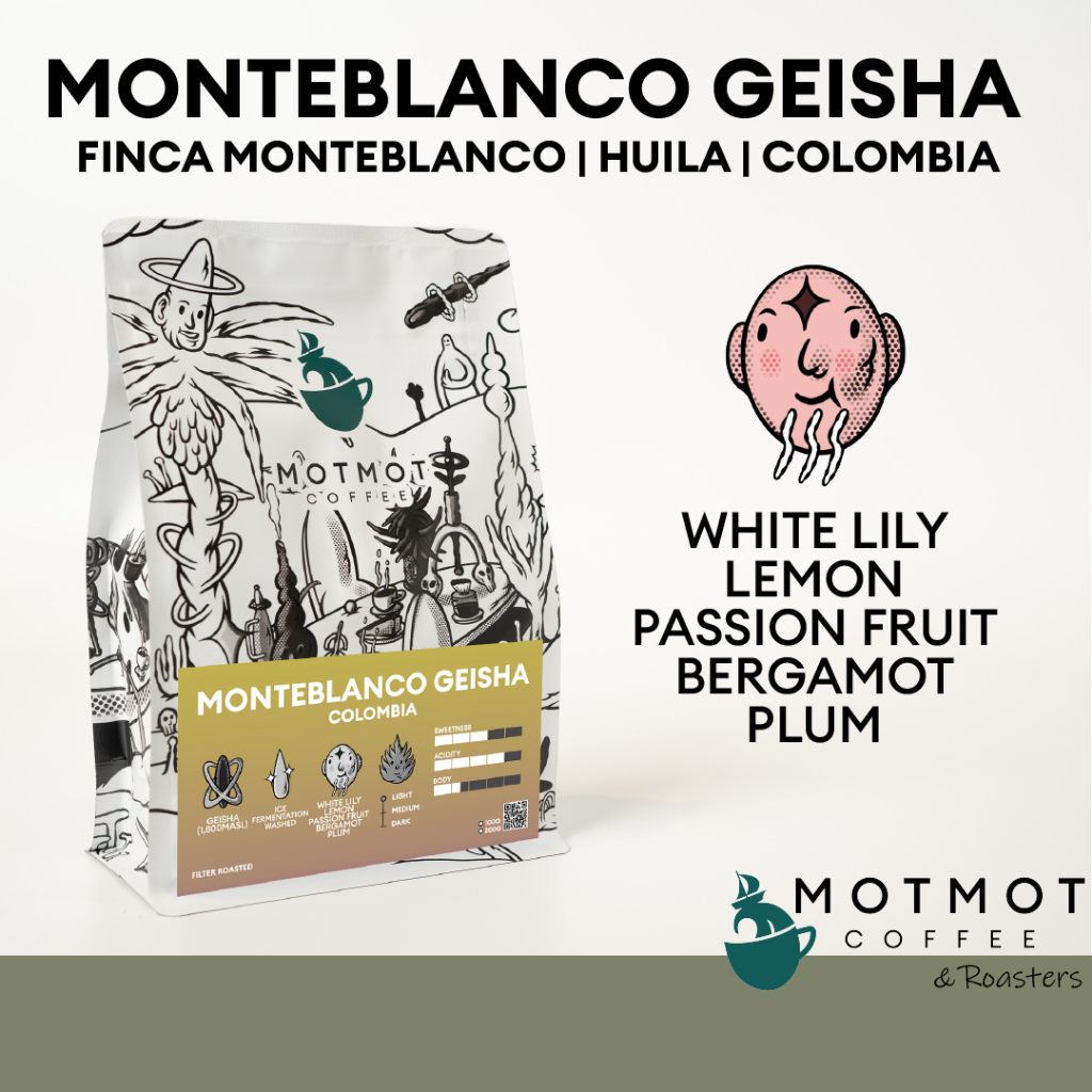 Geisha Monteblanco Hulia Colombia | เมล็ดกาแฟคั่ว MOTMOT COFFEE