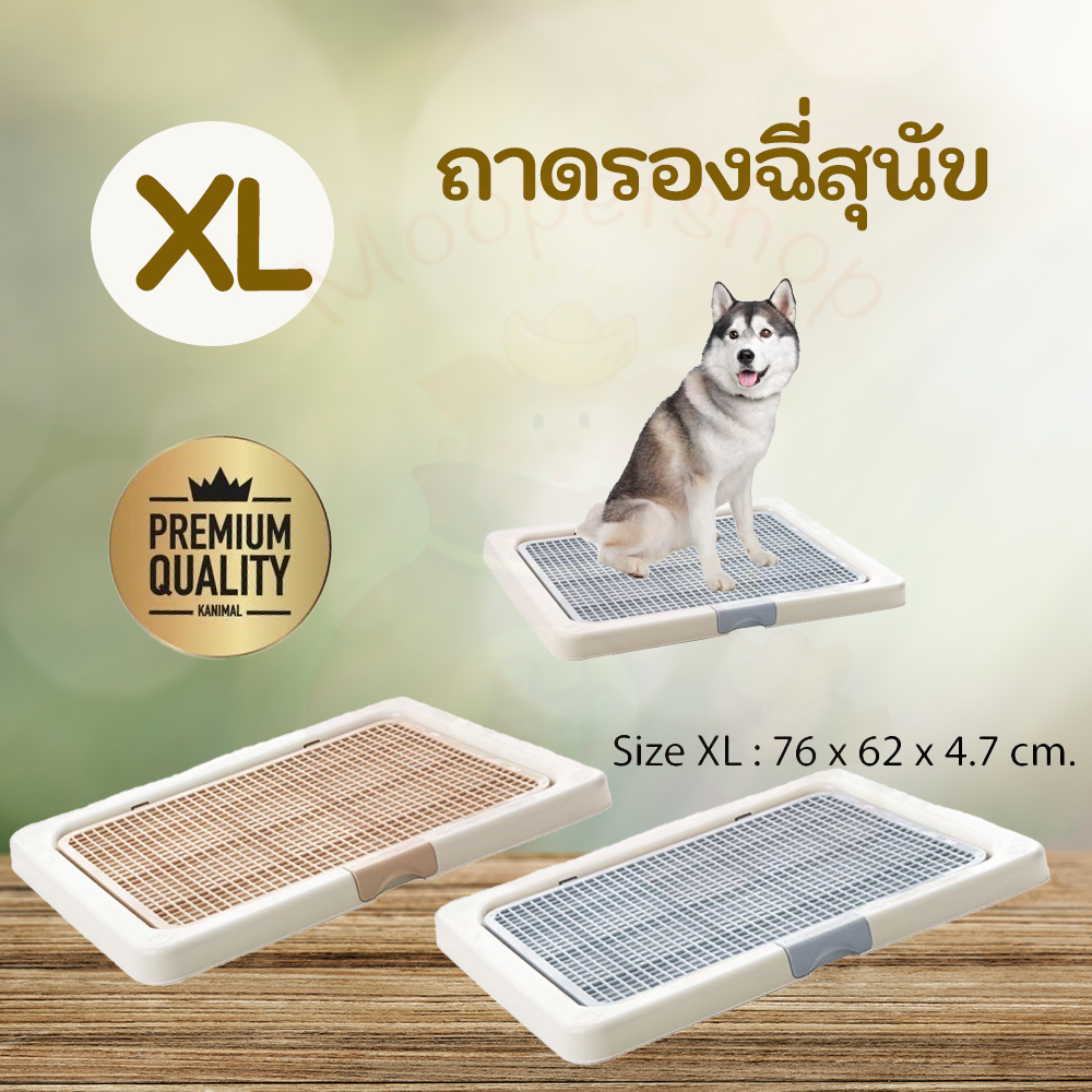 Kanimal Dog Toilet ห้องน้ำสุนัข ถาดฝึกฉี่สุนัข รุ่นเปิดฝาบน พร้อมที่ล็อคฝา สุนัขพันธุ์กลาง/ใหญ่ Size XL ขนาด 76x62x4.7 ซ