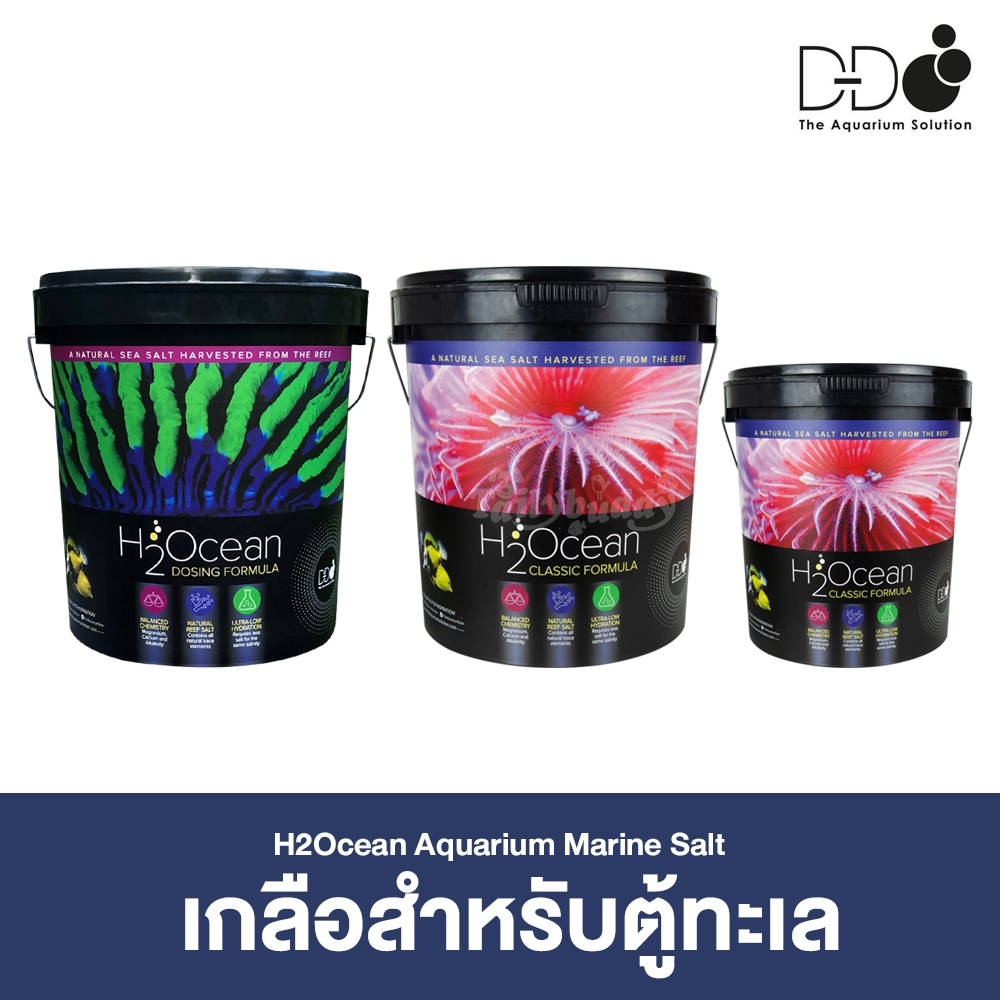H2Ocean Aquarium Marine Salt เกลือสำหรับตู้ทะเล (6.6kg, 23kg)