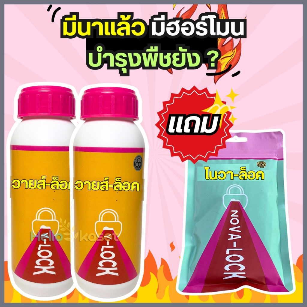 วายล็อค500ซีซี 2 ขวด แถมฟรี โนวาล็อค 1 ซอง เร่งดอก เร่งผล ช่วยผสมเกสร เกสรสมบูรณ์
