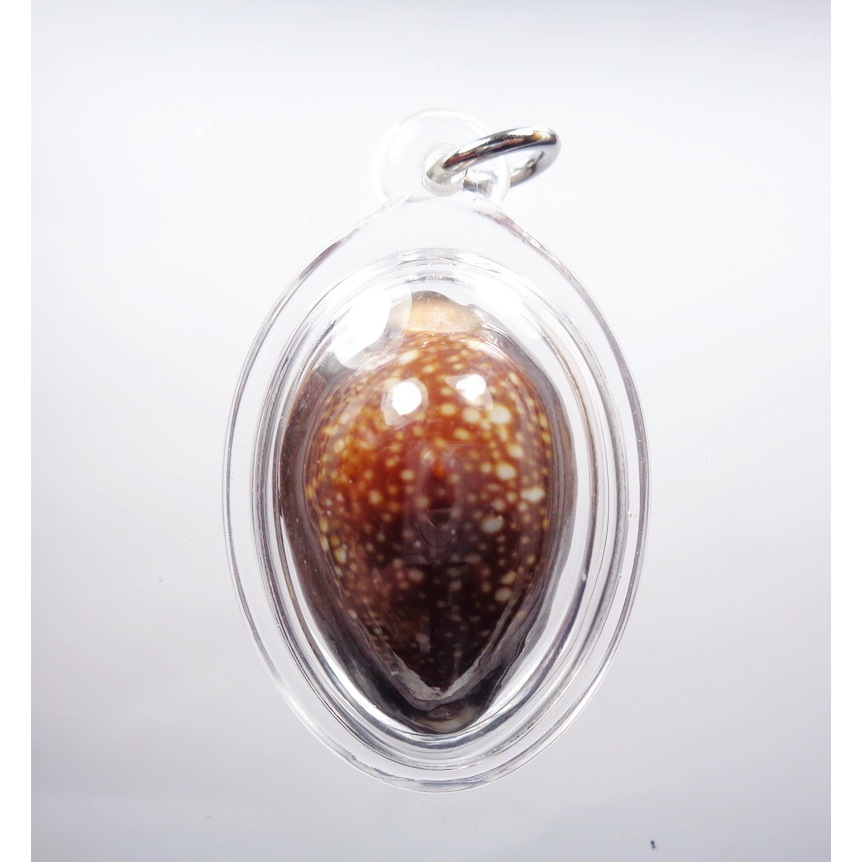 หลวงพ่อพัฒน์ วัดห้วยด้วน เบี้ยแก้ แผ่นทองคำ รวย รวย รวย (AB4664)