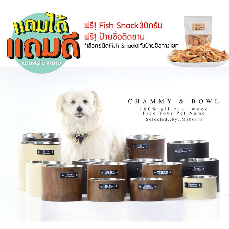 Mahdum chammy bowl ชามอาหารสุนัข Mahdum