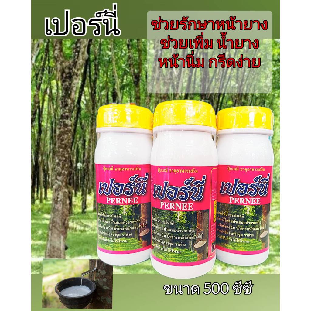 เปอร์นี่ สารบำรุงหน้ายาง เปิดท่อน้ำยาง รักษาหน้ายาง เพิ่มน้ำยาง รักษาหน้ายางเน่า เส้นดำอบำรุงต้นยางไม่ให้โทรม