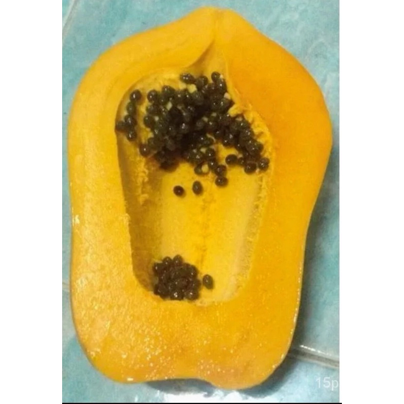 （เมล็ด）การ มะละกอ สายน้ำผึ้ง Honey Papaya 50 Seeds ผลไม้ คุณภาพดี 50 เมล็ดพร้อมปลูก