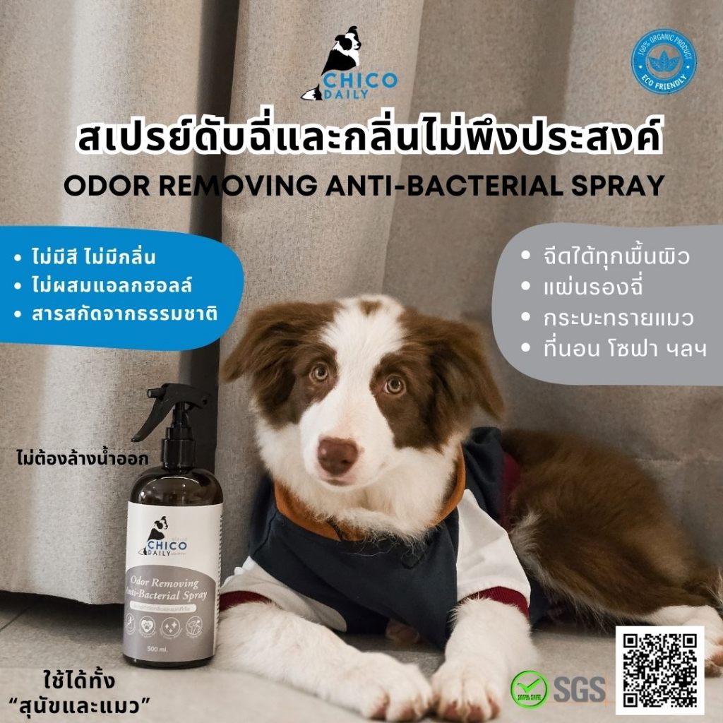 สเปรย์(ไม่ต้องล้างน้ำออก) ChicoDaily ดับกลิ่นฉี่หมาและแมว ไม่มีสี ไม่มีกลิ่น ไม่มีแอลกฮอลล์ ดับกลิ่นอันไม่พึงประสงค์