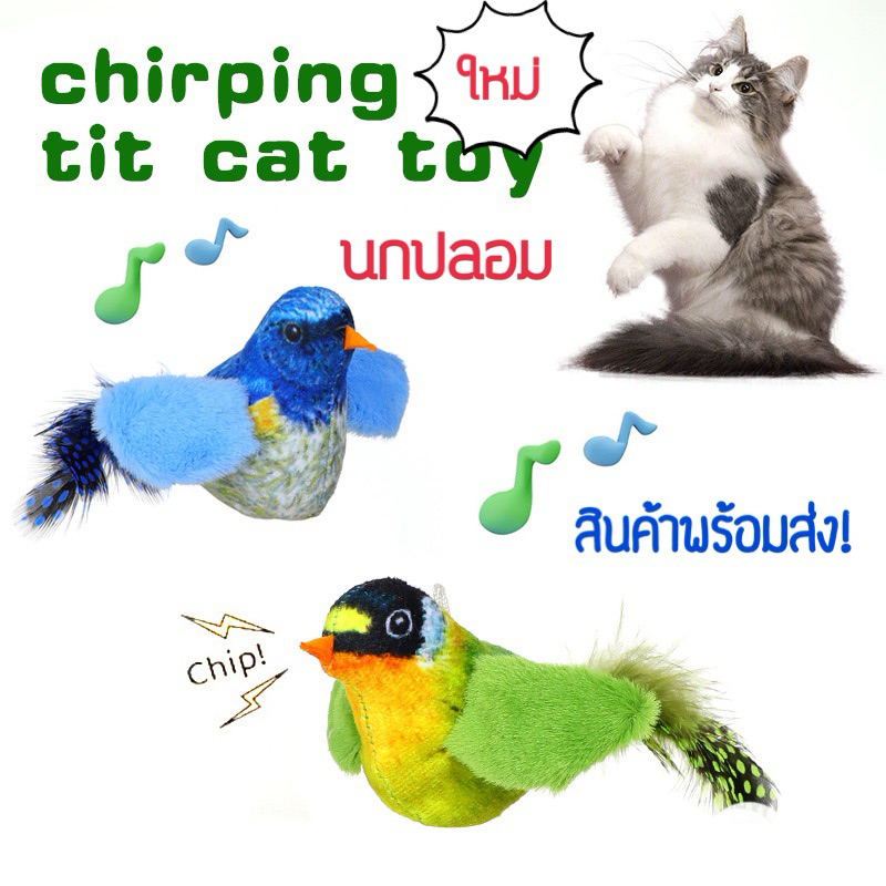 ใหม่ สินค้าพร้อมส่ง#นอกปลอม#นกล่อแมว#ของเล่นแมว#น้องเหมียวชอบมาก