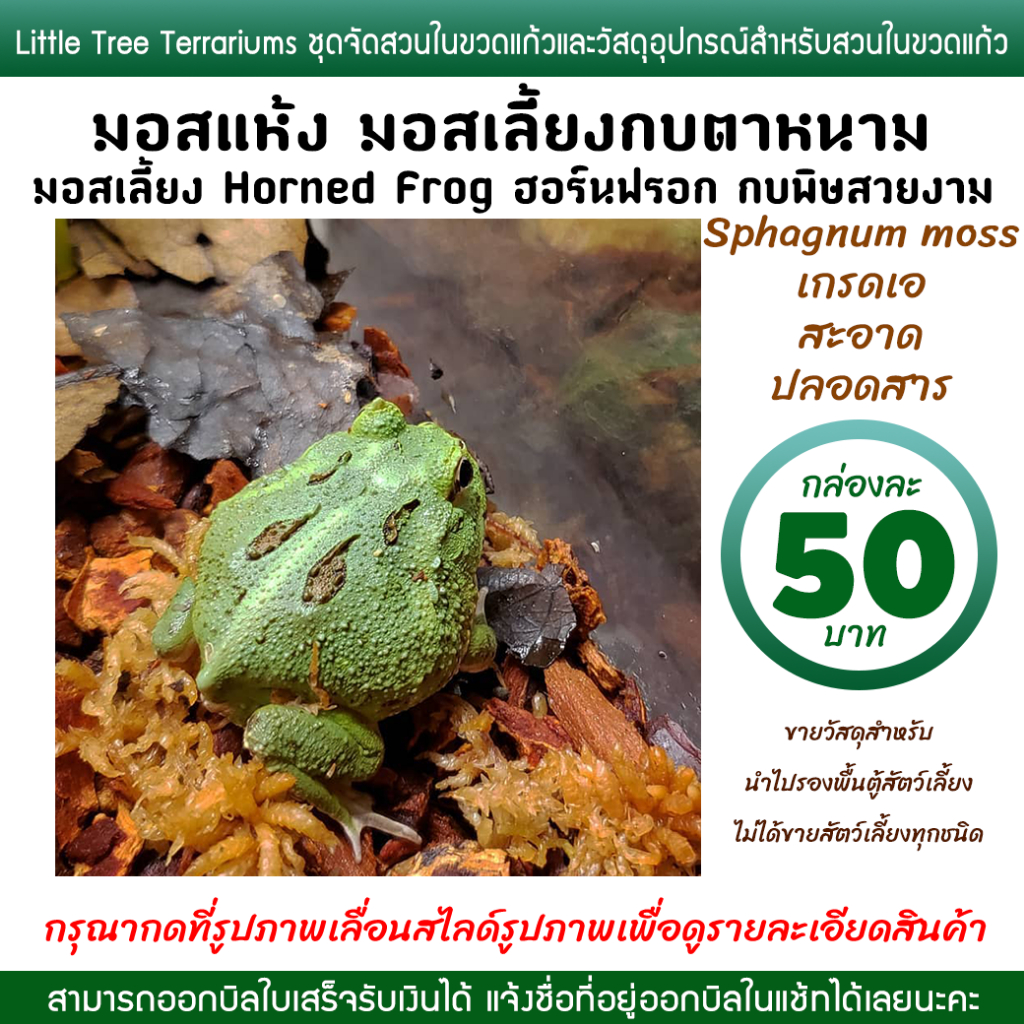 มอสเลี้ยงกบ hornfrog มอสแห้ง กล่องละ 50 บาท ใช้เลี้ยงสัตว์ Exotic ได้ทุกชนิด