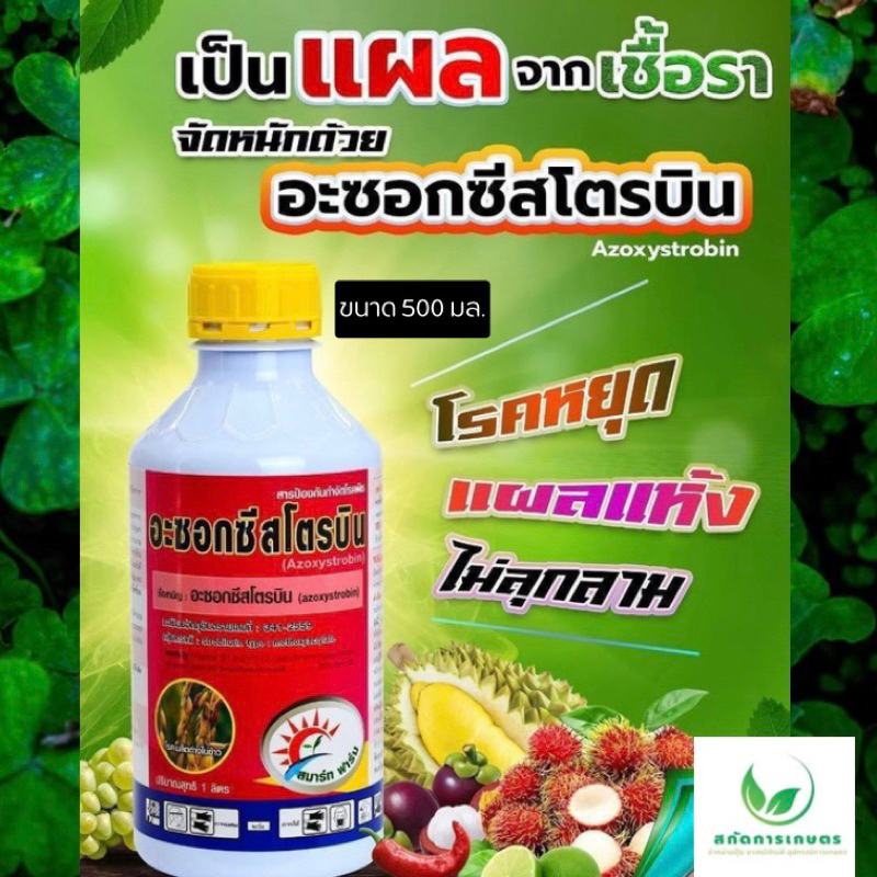 อะซอกซีสโตรบิน มี2ขนาดให้เลือก 500มลหรือ1000มล. สูตรยาเย็น ราแป้ง ราน้ำค้าง ราสนิม ใบไหม้ ใบจุด ราดำ โรคกุ้งแห้งในพริก