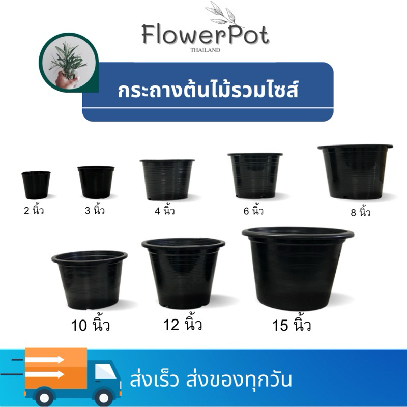 กระถางดำ ขนาด 2, 3, 4, 6, 8, 10, 12 นิ้ว กระถางพลาสติก