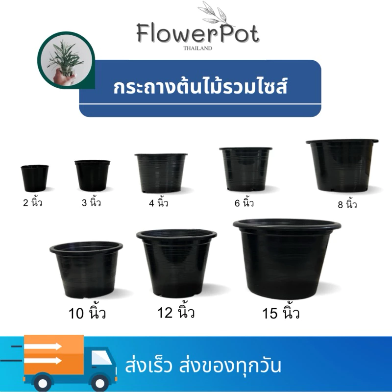 กระถางดำ ขนาด 2, 3, 4, 6, 8, 10, 12 นิ้ว กระถางพลาสติก