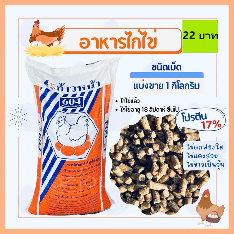 อาหารไก่ไข่ ก้าวหน้า 604 สำหรับไก่ระยะไข่ ไข่ดก ฟองโต แดงจัด แบ่งขาย 1 กิโลกรัม