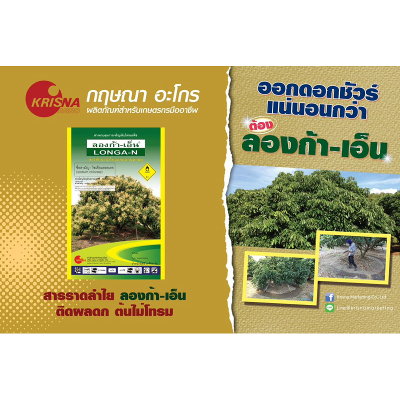 สารลาดลำใย ลองก้าเอ็น