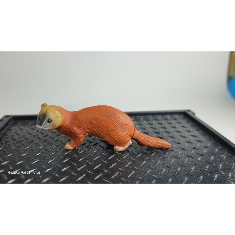 วีเซิล weasel by kaiyodo japan