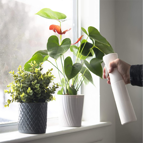 รูปภาพ 8