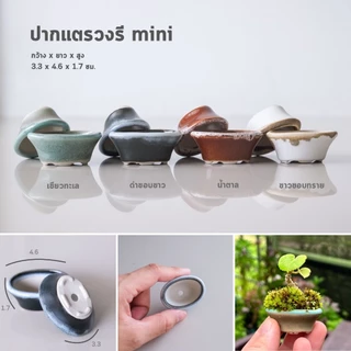 กระถางบอนไซ ญี่ปุ่น บอนไซจิ๋ว ต้นไม้จิ๋ว collection mini By miNATURE_c กระถางเซรามิค เกรดส่งออก
