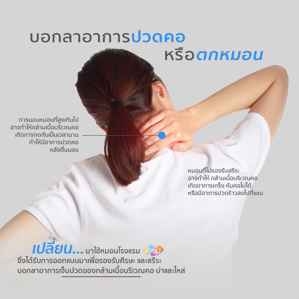 ibed หมอนหนุนโรงแรม Sof-touch รุ่น II - Firmสัมผัสนุ่มแบบ 3D ป้องกันไรฝุ่น ซักเครื่องได้ หลับสบายไม่ร้อนหัว (19x29 นิ้ว)