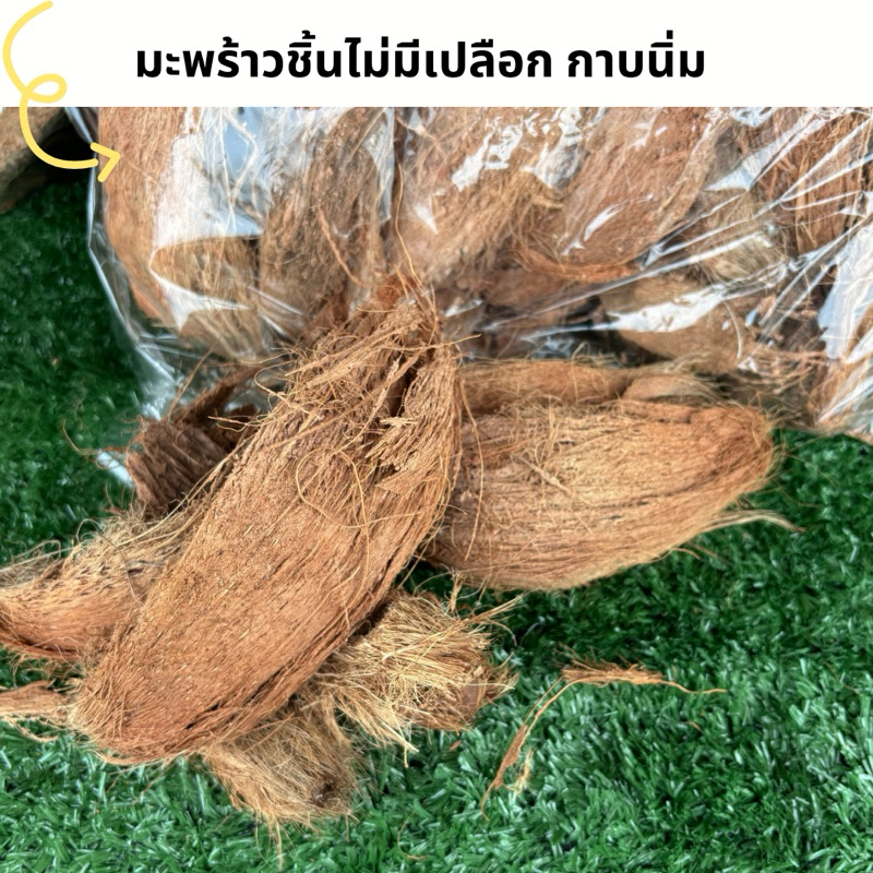 กาบมะพร้าวชิ้น แบบมีเปลือกและไม่มีเปลือก สำหรับปลูกต้นไม้ กล้วยไม้ ให้ความชุ่มชื้น