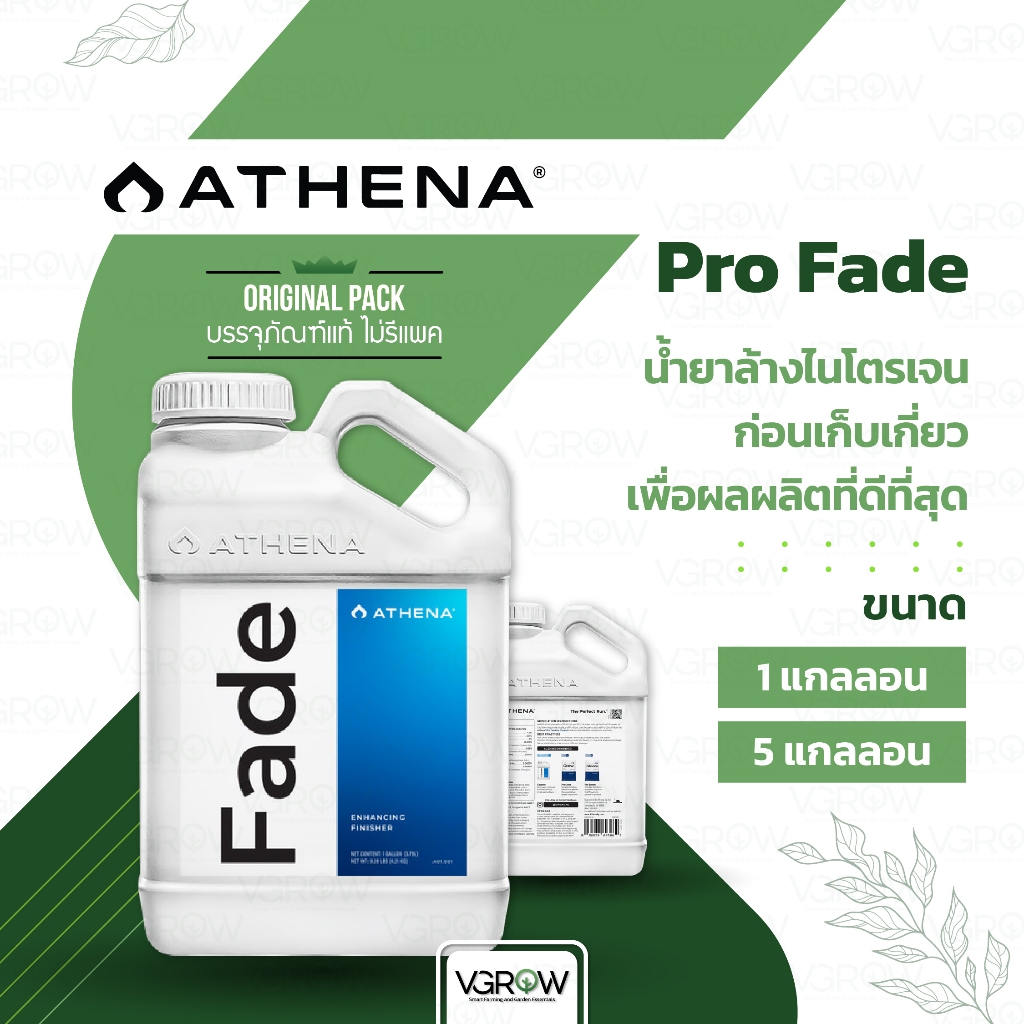 [ส่งฟรี] Athena Pro Fade น้ำยาล้างไนโตรเจน ก่อนเก็บเกี่ยว ขนาด 1 และ 5 แกลลอน อาเธน่าเฟด