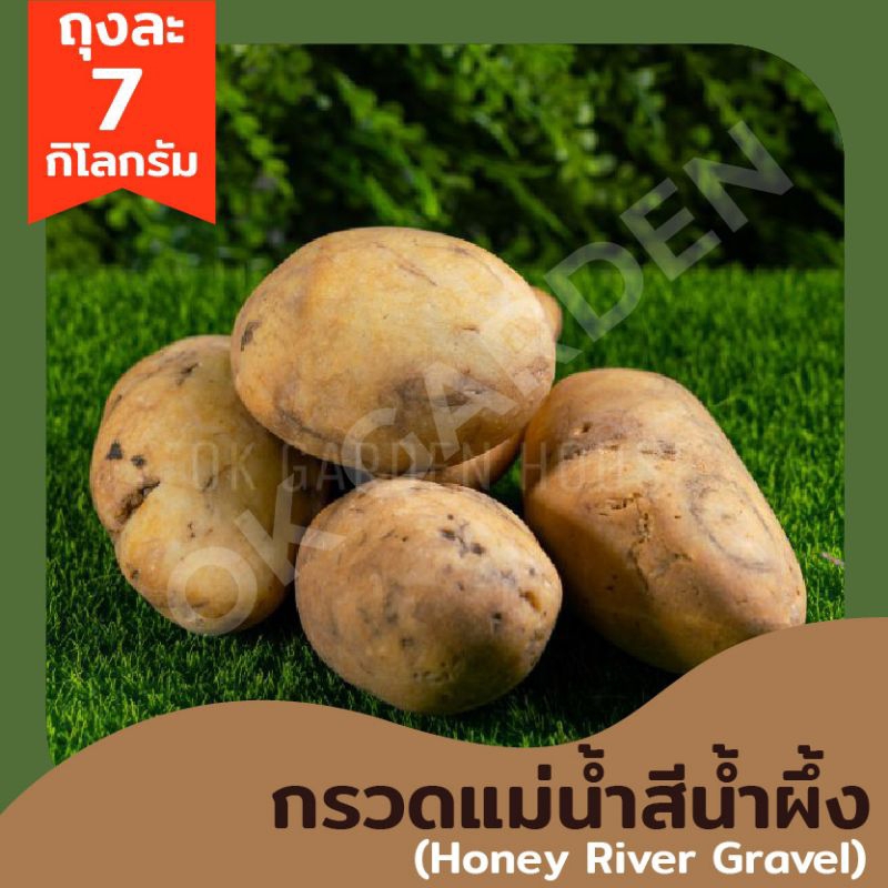 Ok Garden House กรวดแม่น้ำสีน้ำผึ้ง