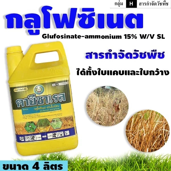 คายีซาเรส หวีทอง 4 ลิตร กลูโฟเนท- แอมโมเนียมกำจัดใบกว้างและใบแคบ