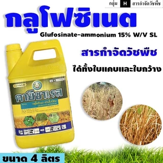 คายีซาเรส หวีทอง 4 ลิตร กลูโฟเนท- แอมโมเนียมกำจัดใบกว้างและใบแคบ