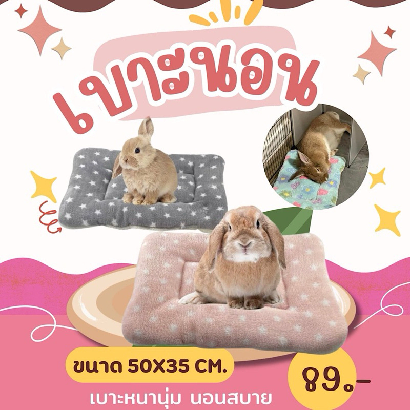 เบาะนอนผ้านุ่มสำหรับน้องกระต่ายทุกสายพันธุ์นอน