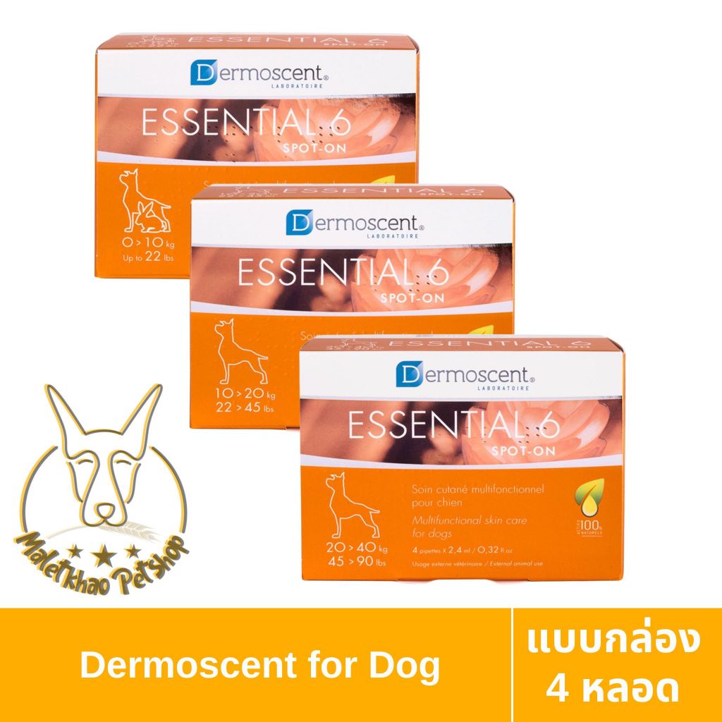 [MALETKHAO] Dermoscent (เดอร์โมเซ้นท์) Essential 6 Spot-On แบบกล่อง น้ำมันบำรุงสุขภาพผิวหนังและเส้นขน แบบหยอดหลังสุนัข