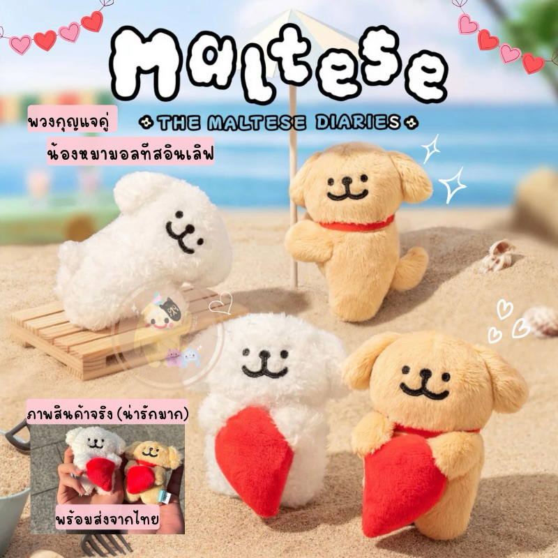 [พร้อมส่ง] Maltese Magnet Keychain วาเลนไทน์ พวงกุญแจตุ๊กตามอลทีส ลิขสิทธิ์แท้ มอลทีส พร้อมส่ง