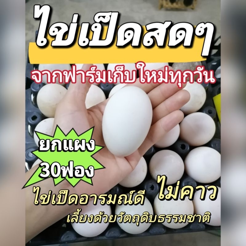 အာမိုနီေကောင်း စိတ်ပါ အုန်းကြက်ဥ? မဟုတ်— အရသာကောင်းတဲ့ ဘဲဥကြီး စည်ပိုင်း/လတ်ဆတ် 60-65g (ဥ 30 လုံး)