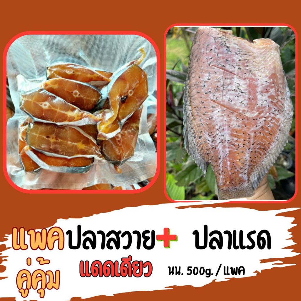 ปลาแรด ปลาสวายแดดเดียว อร่อยเนื้อเยอะ ปลอดภัยไม่มีสารกันเสีย (นน.500g.)/แพค