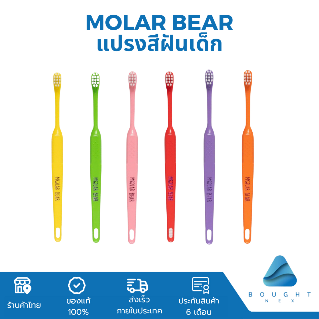 Molar Bear แปรงสีฟันเด็ก โมล่าร์แบร์ แปรงสีฟัน สำหรับเด็ก ช่วงอายุ 0-12+ ขวบ