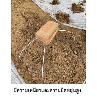 แท่งไฟเบอร์กลาสตัน สีขาว ยาว 100ซม.