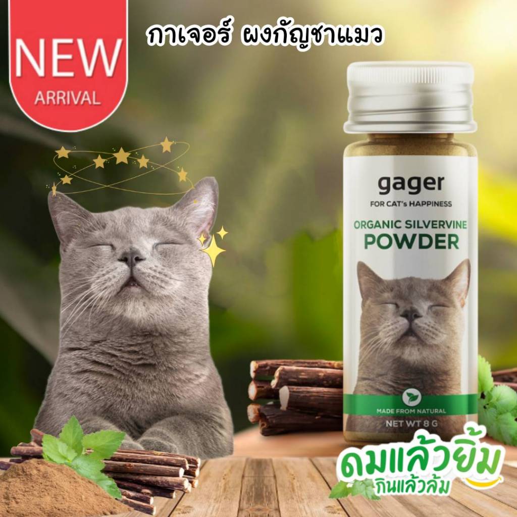 CatHoliday กาเจอร์ แคทนิปแบบผง Gager  แคทนิปแบบผงสำหรับแมว ไม้มาทาทาบิ ออร์แกนิก พลังช้าง ช่วยให้แมว