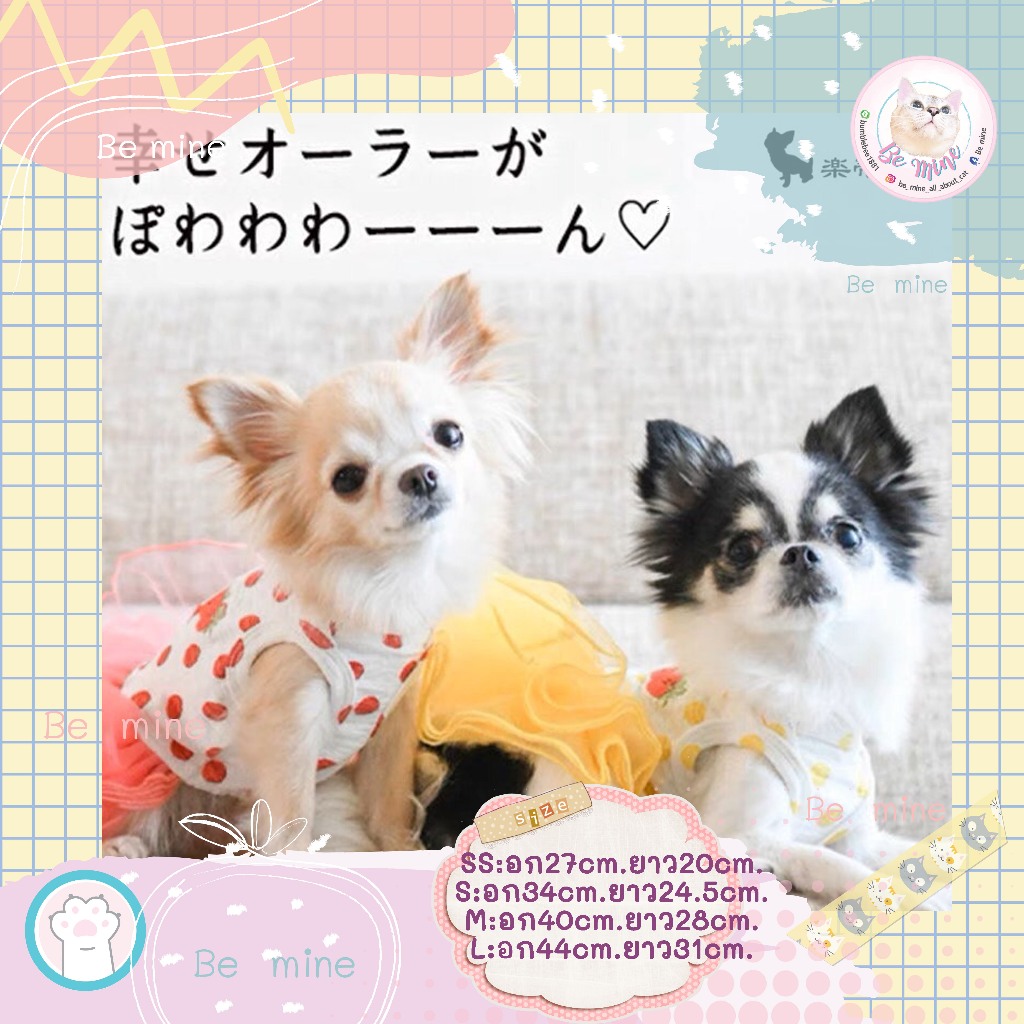 🇯🇵Radica Japan พร้อมส่ง🥰STRAWBERRY DOT DRESS