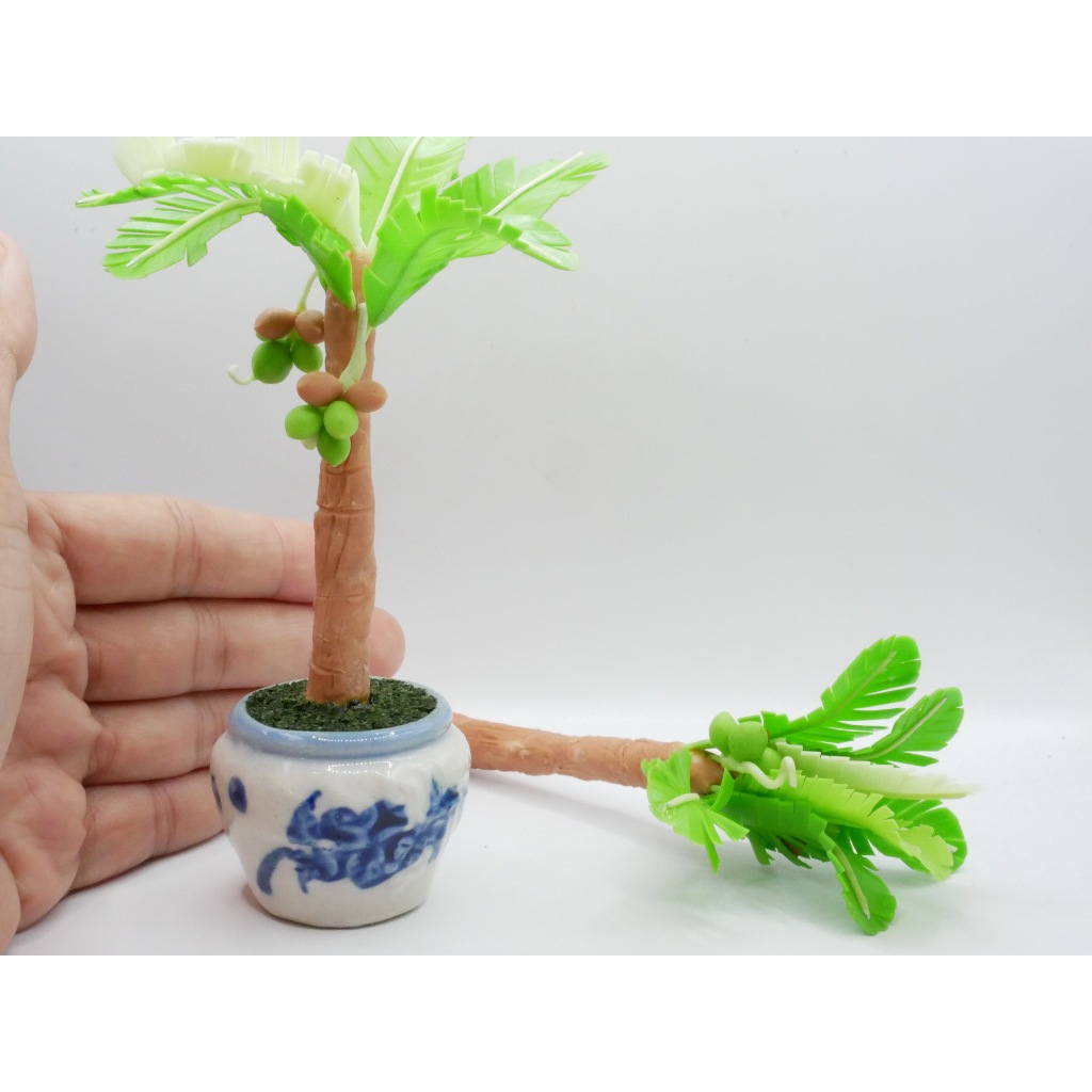 ต้นมะพร้าว มะพร้าว ต้นไม้มงคล งานดินปั้น มะพร้าวจิ๋ว ต้นมะพร้าวจิ๋ว มะพร้าวจิ๋วดินปั้น ไม้มงคล