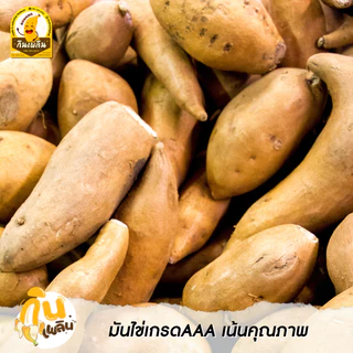 กินเพลิน ✨800 กรัม มันเส้นรสเค็ม มันเส้นทอด มันเหลือง มันเส้น