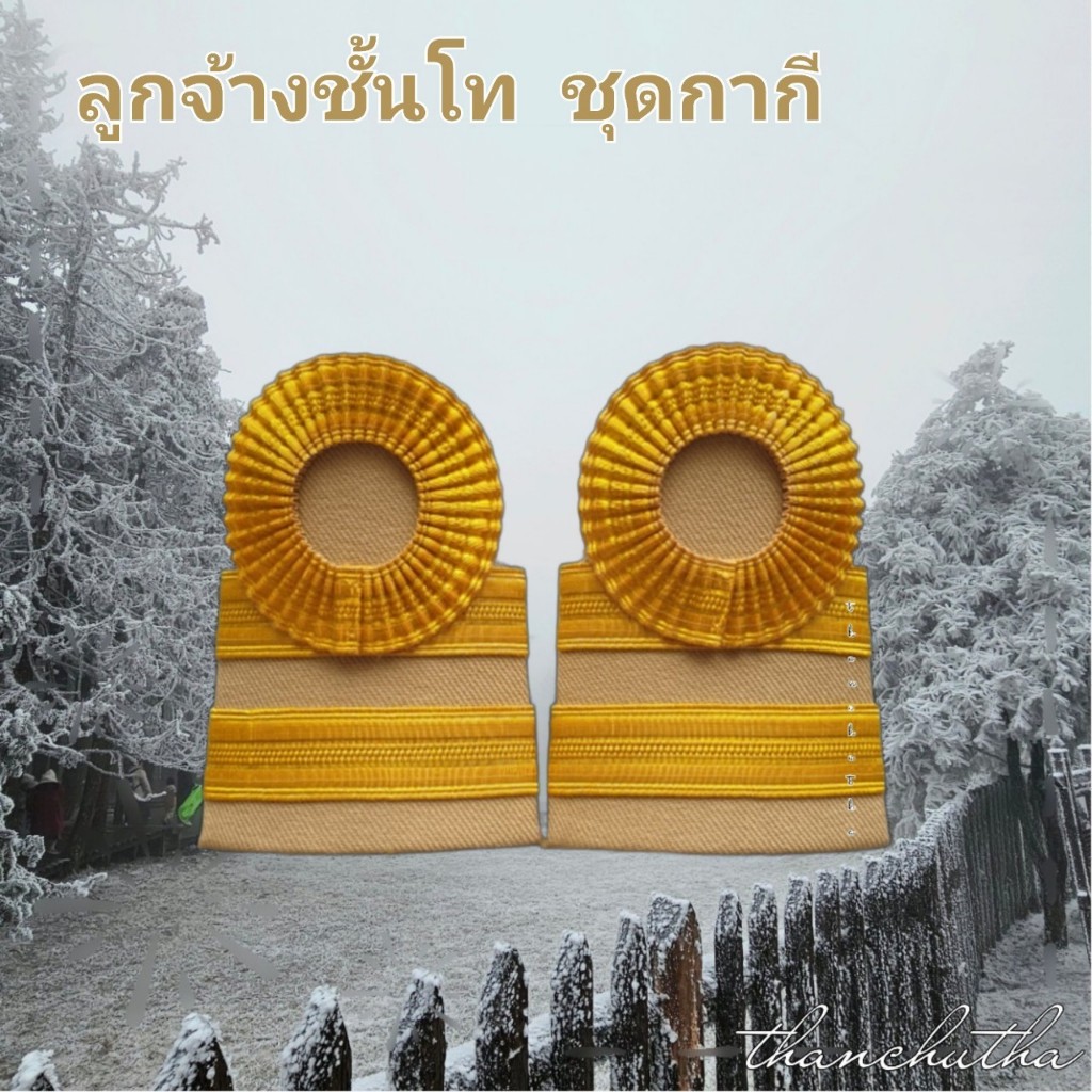 อินทรธนู ขีดลูกจ้างประจำ ชั้นโท ดิ้นอินเดีย