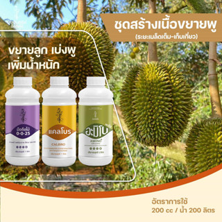 ชุดสร้างเนื้อ ขยายพู เพิ่มน้ำหนัก