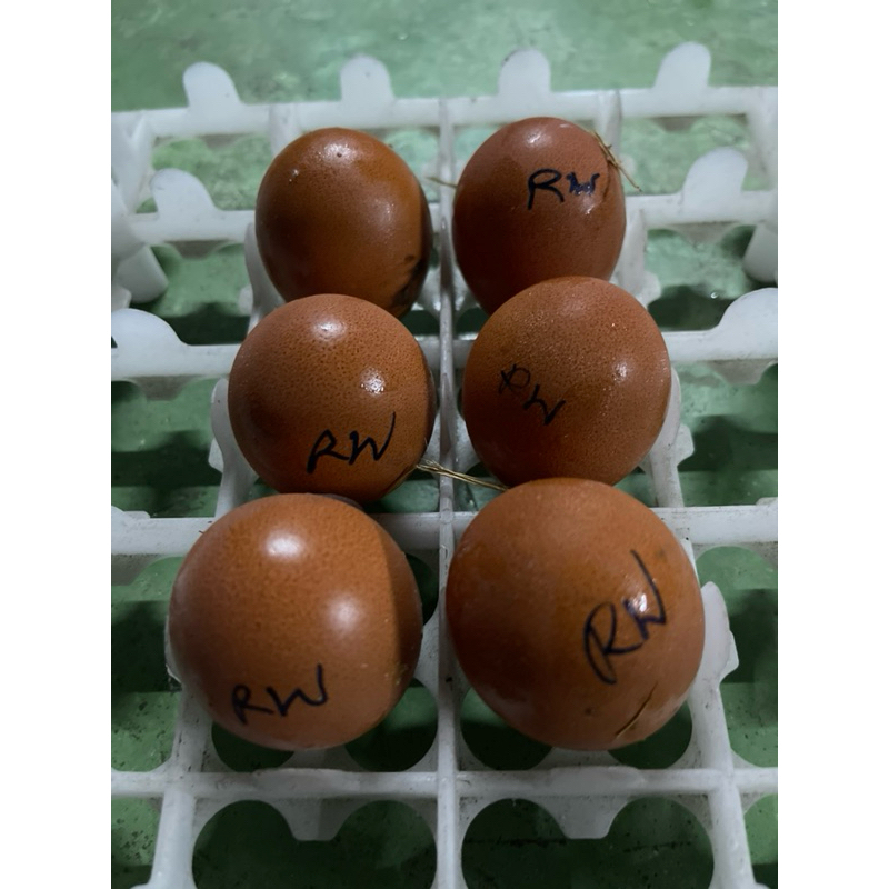 รูปภาพ 3