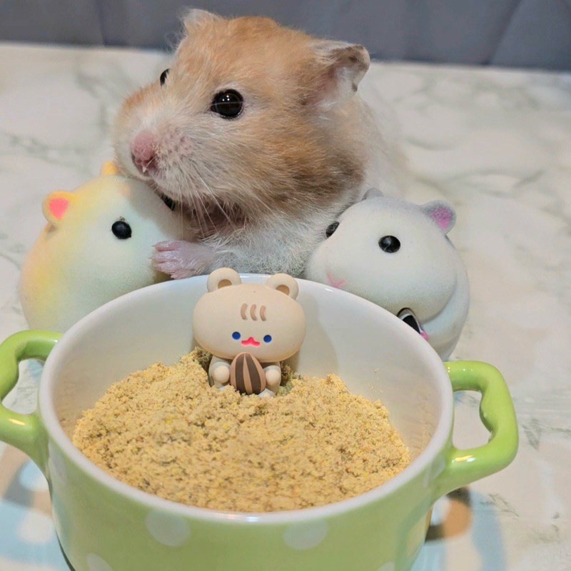 ผงอาหารบ้านช่อ (Baanchor Powder)